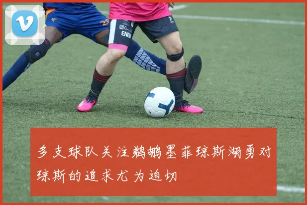多支球队关注鹈鹕墨菲琼斯湖勇对琼斯的追求尤为迫切