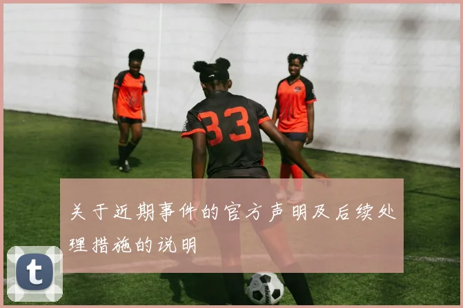 关于近期事件的官方声明及后续处理措施的说明