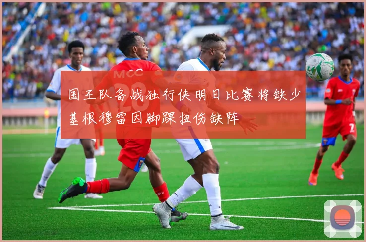 国王队备战独行侠明日比赛将缺少基根穆雷因脚踝扭伤缺阵
